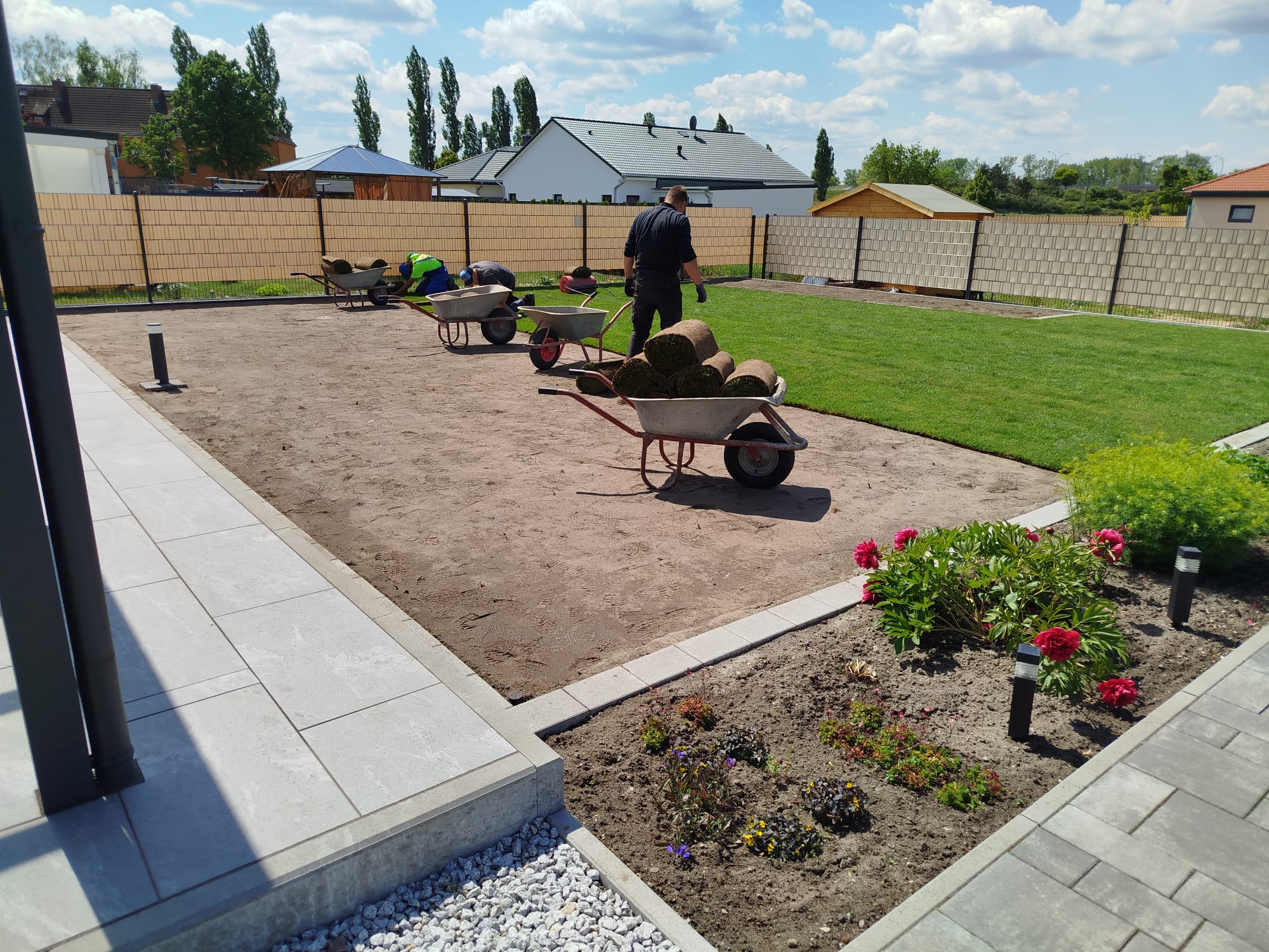 Rollrasenfläche im neu angelegten Garten in Beeskow